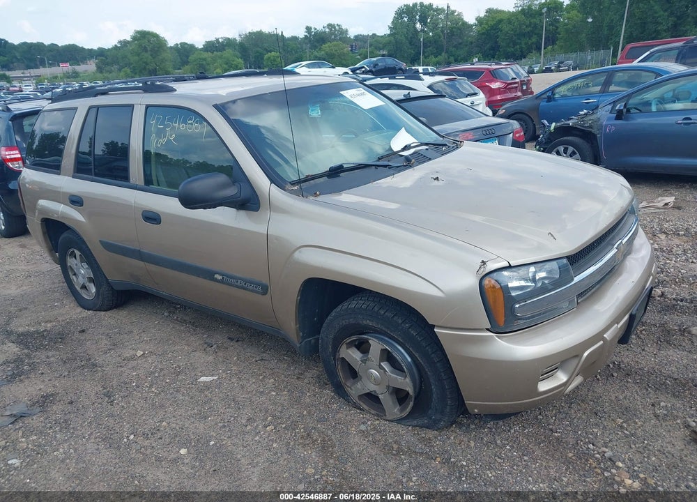 2004 CHEVROLET TRAILBLAZER LS VIN: 1GNDT13S842416357