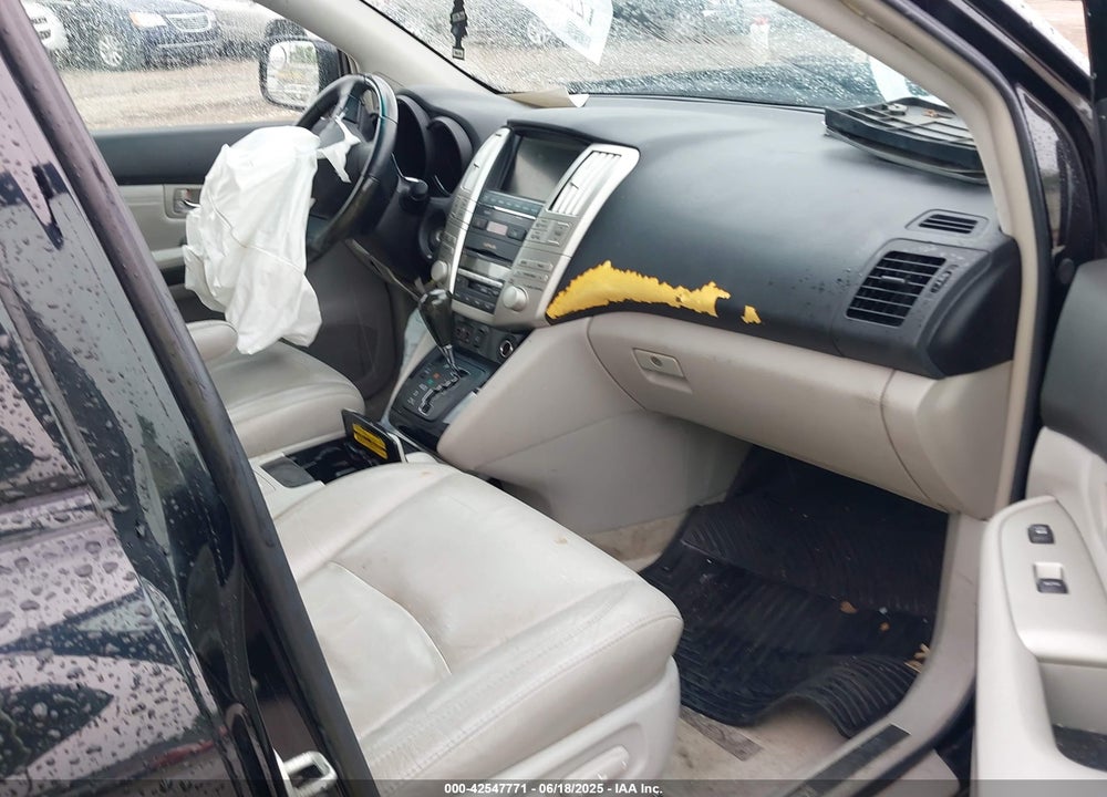 2009 LEXUS RX 350 VIN: 2T2HK31U19C099507