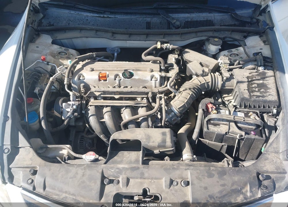 2010 HONDA ACCORD VIN: 1HGCP2F30AA103339