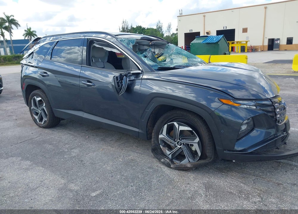 2024 HYUNDAI TUCSON LIMITED VIN: 5NMJECDE7RH359453