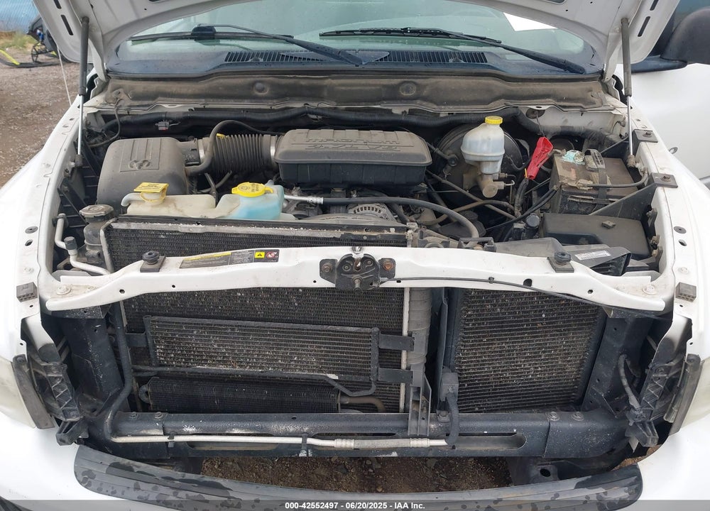 2005 DODGE RAM 1500 VIN: 1D7HA16N65J509977