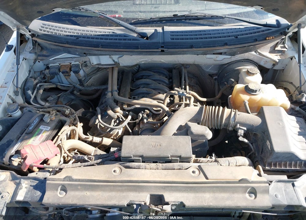 2013 FORD F-150 VIN: 1FTFW1CF0DKF54681