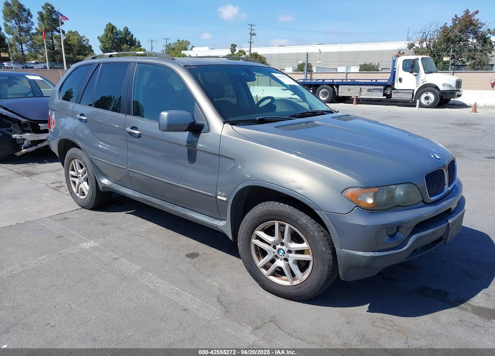 2006 BMW X5 3.0I VIN: 5UXFA13506LY32142