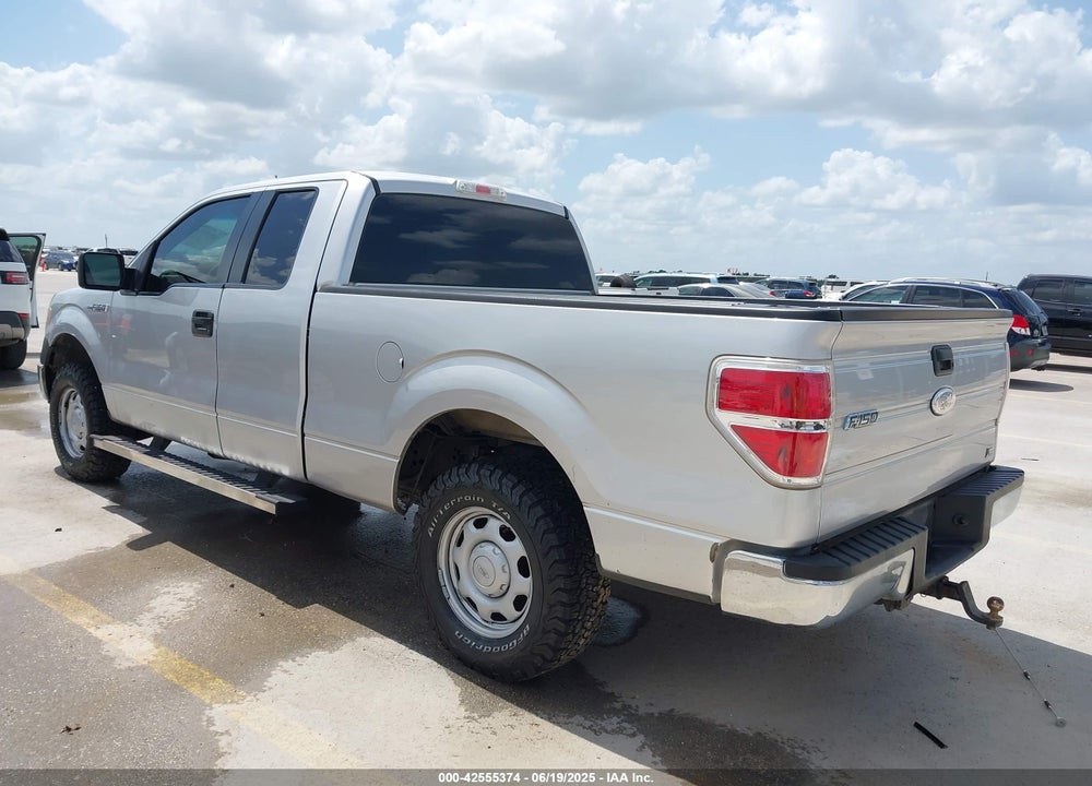 2010 FORD F-150 VIN: 1FTFX1CV2AFA15133