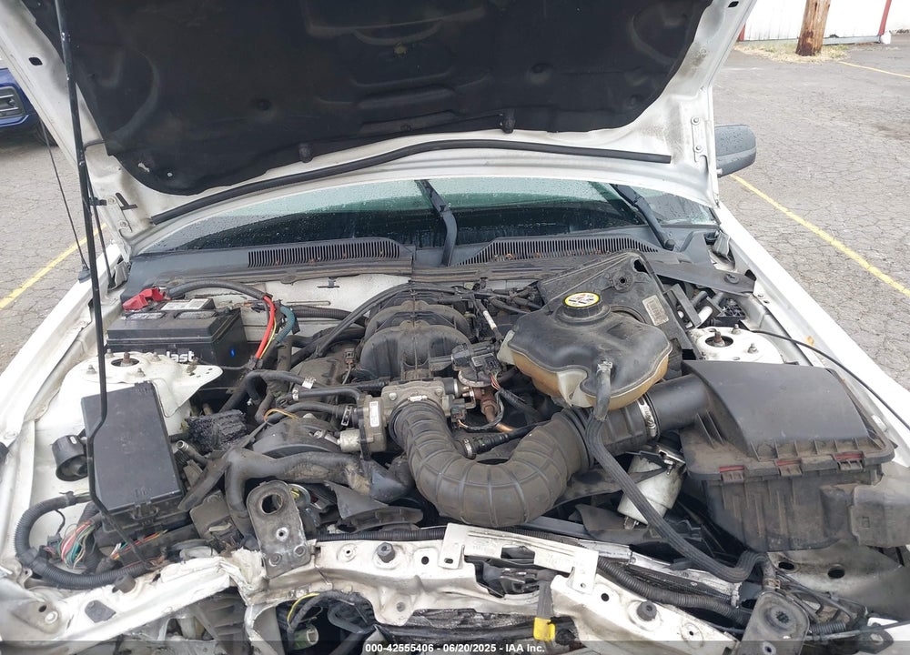 2005 FORD MUSTANG V6 DELUXE/V6 PREMIUM VIN: 1ZVFT80N855189273
