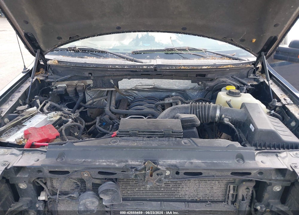 2014 FORD F-150 VIN: 1FTFX1EF3EFC36039