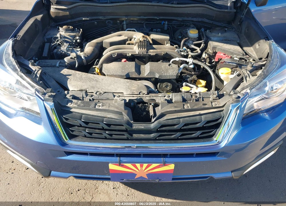 2018 SUBARU FORESTER VIN: JF2SJAGC0JH491394