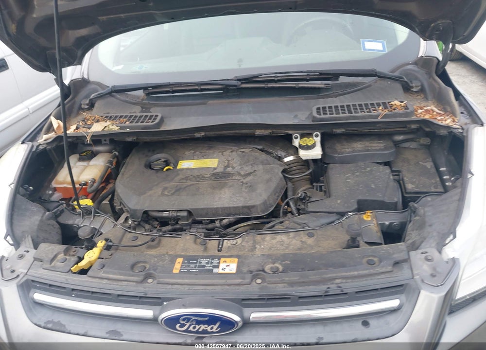 2014 FORD ESCAPE SE VIN: 1FMCU0GX6EUB06842