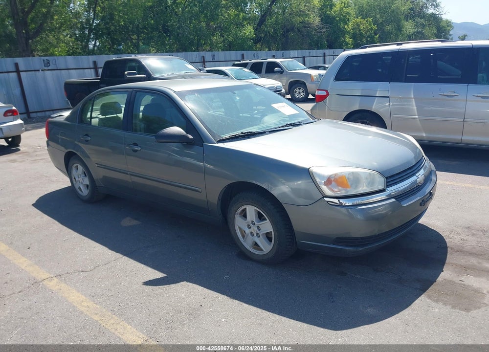 2005 CHEVROLET MALIBU LS VIN: 1G1ZT54875F223242