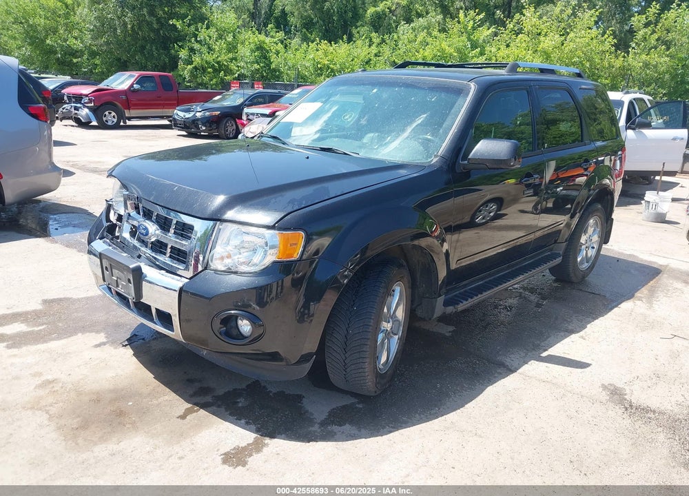 2011 FORD ESCAPE VIN: 1FMCU0E79BKB03279