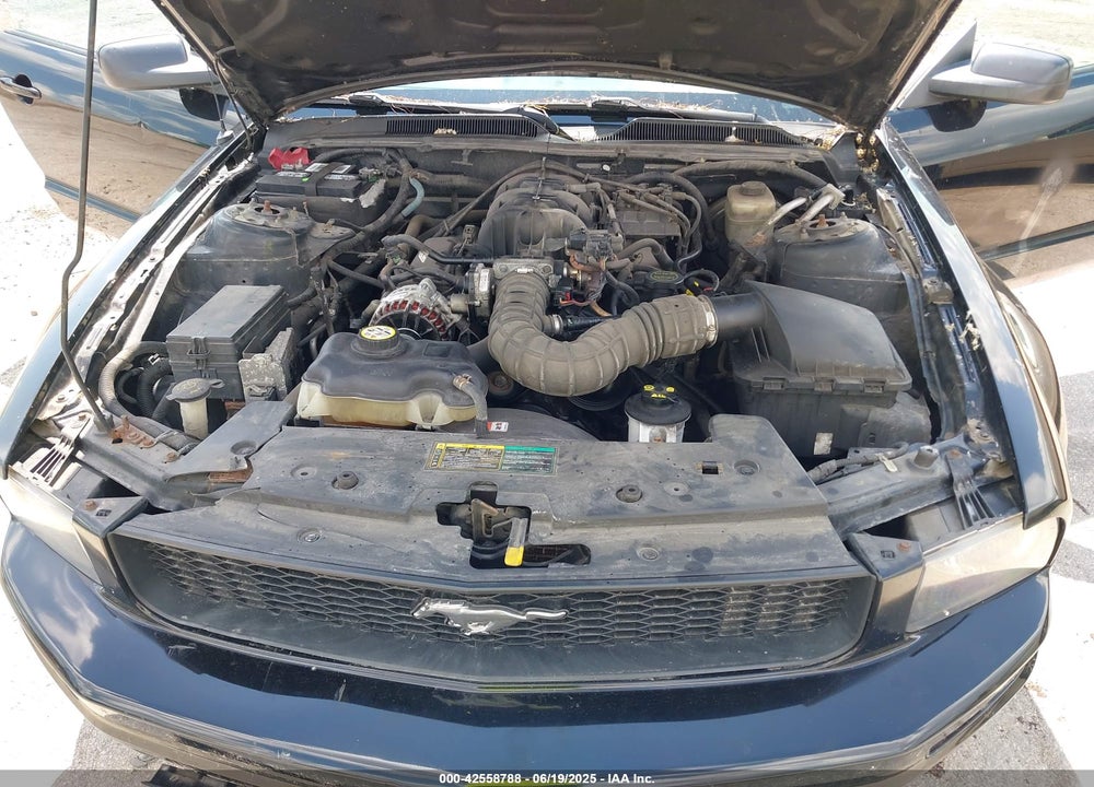 2006 FORD MUSTANG VIN: 1ZVFT80NX65122031