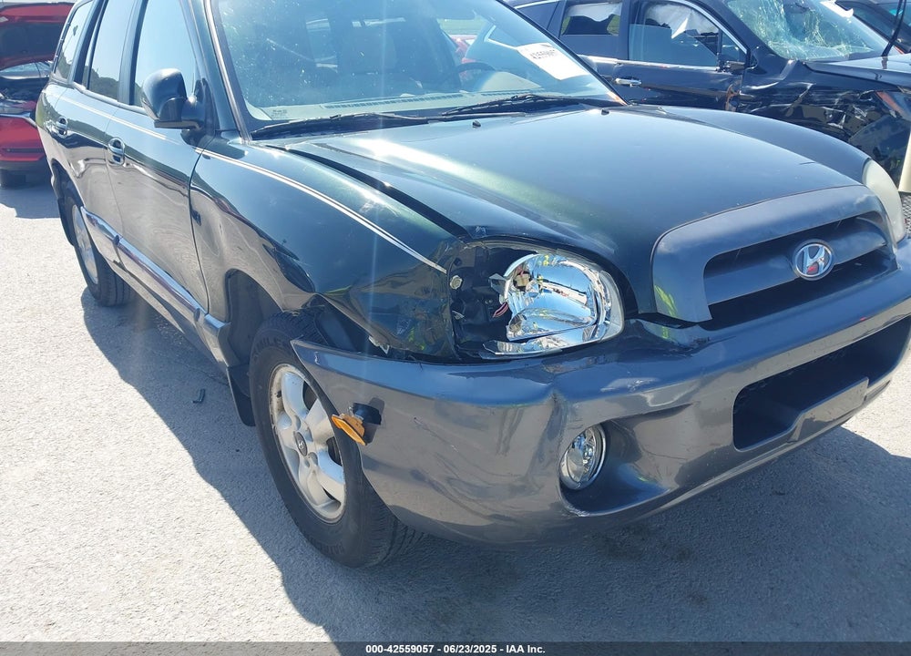 2006 HYUNDAI SANTA FE VIN: KM8SC13D86U099653