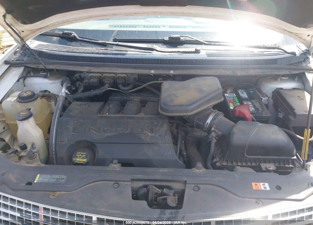 2010 LINCOLN MKX VIN: 2LMDJ6JC0ABJ23548