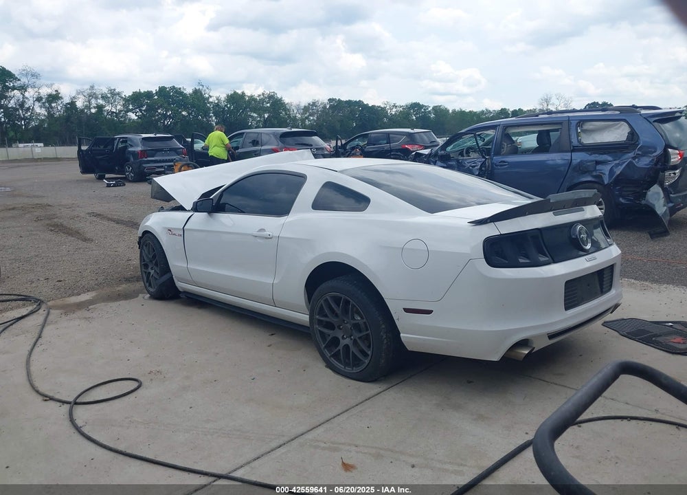 2014 FORD MUSTANG VIN: 1ZVBP8AM3E5303642