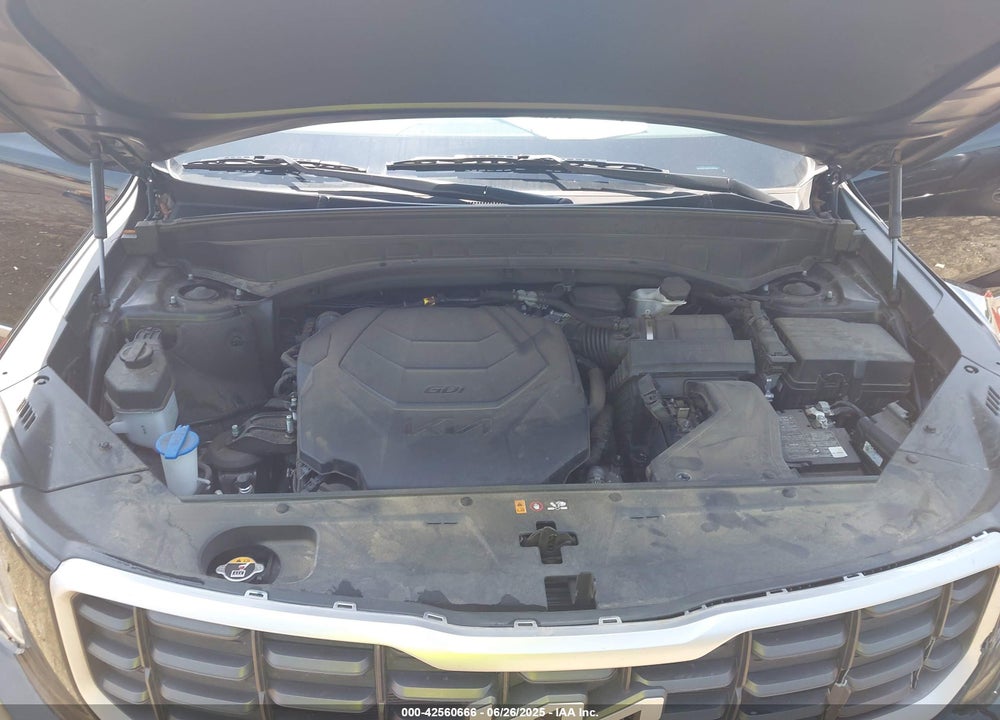 2023 KIA TELLURIDE VIN: 5XYP6DGC5PG403268