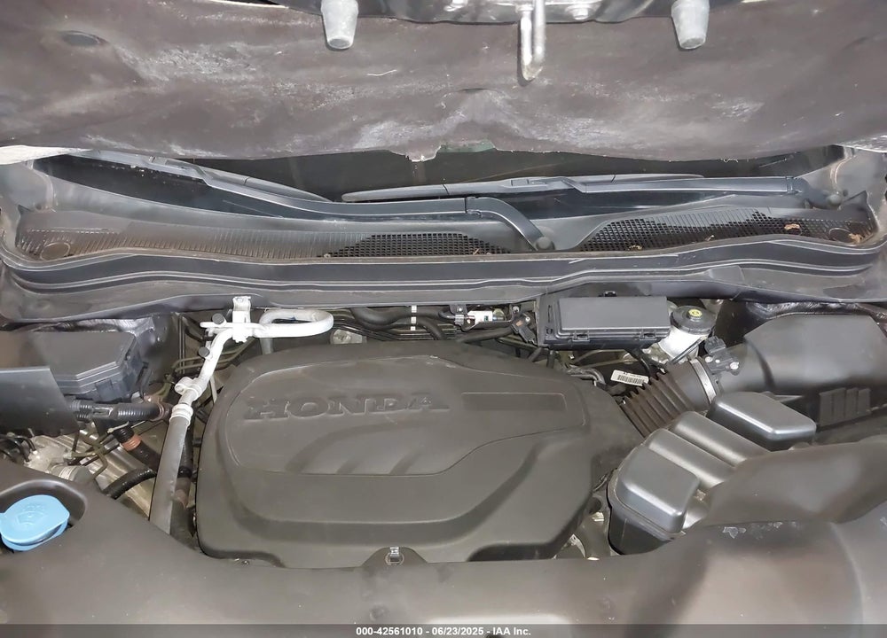 2021 HONDA PASSPORT VIN: 5FNYF8H56MB012533