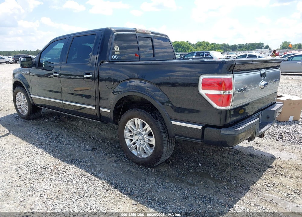 2010 FORD F-150 PLATINUM VIN: 1FTFW1CV0AFA30183