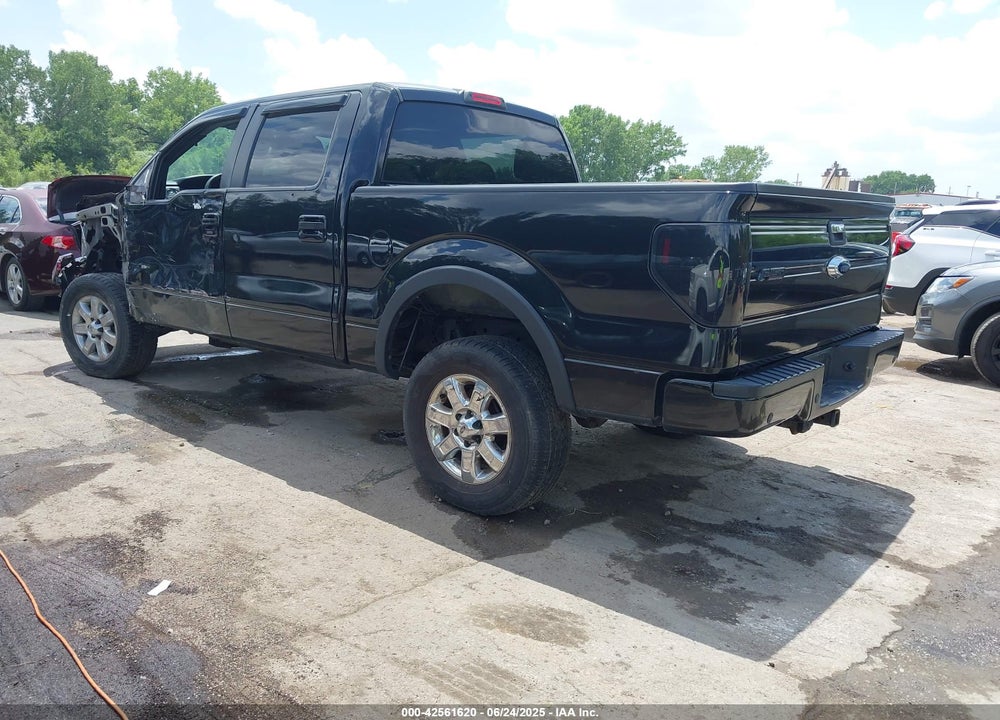 2013 FORD F-150 VIN: 1FTFW1EF0DFA73156