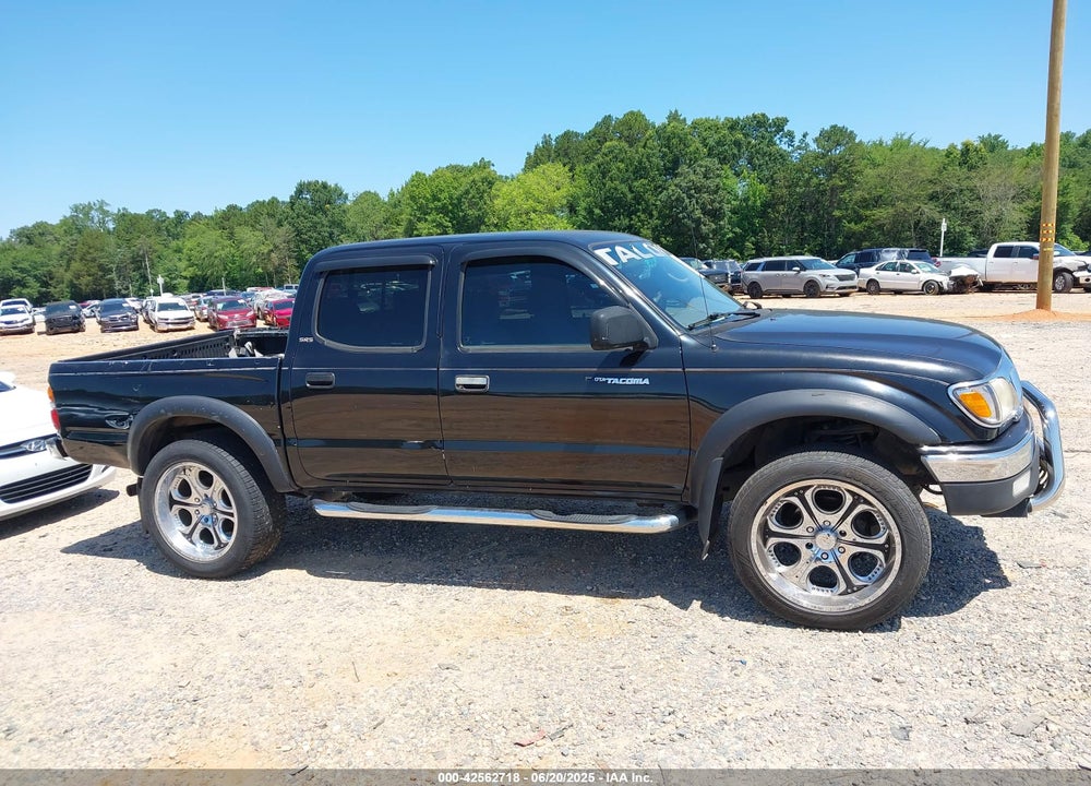 2004 TOYOTA TACOMA PRERUNNER VIN: 5TEGM92N24Z381002