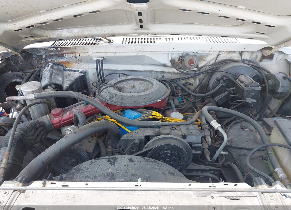 1981 FORD BRONCO U100 VIN: 1FMDU15GXBLA04667