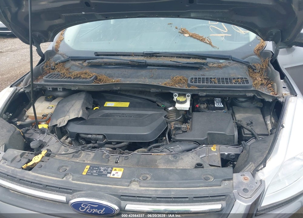 2013 FORD ESCAPE VIN: 1FMCU0GX2DUA31362