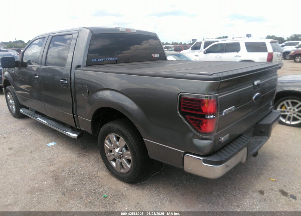 2011 FORD F-150 VIN: 1FTEW1CM8BFA25818
