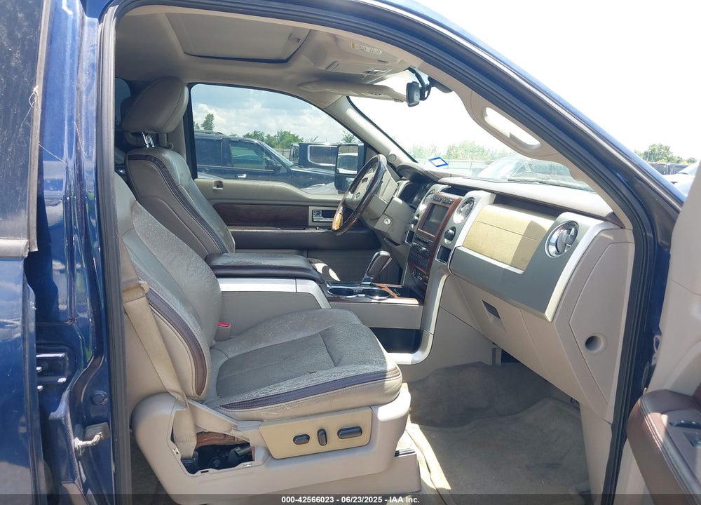 2009 FORD F-150 PLATINUM VIN: 1FTPW14V19FA05467