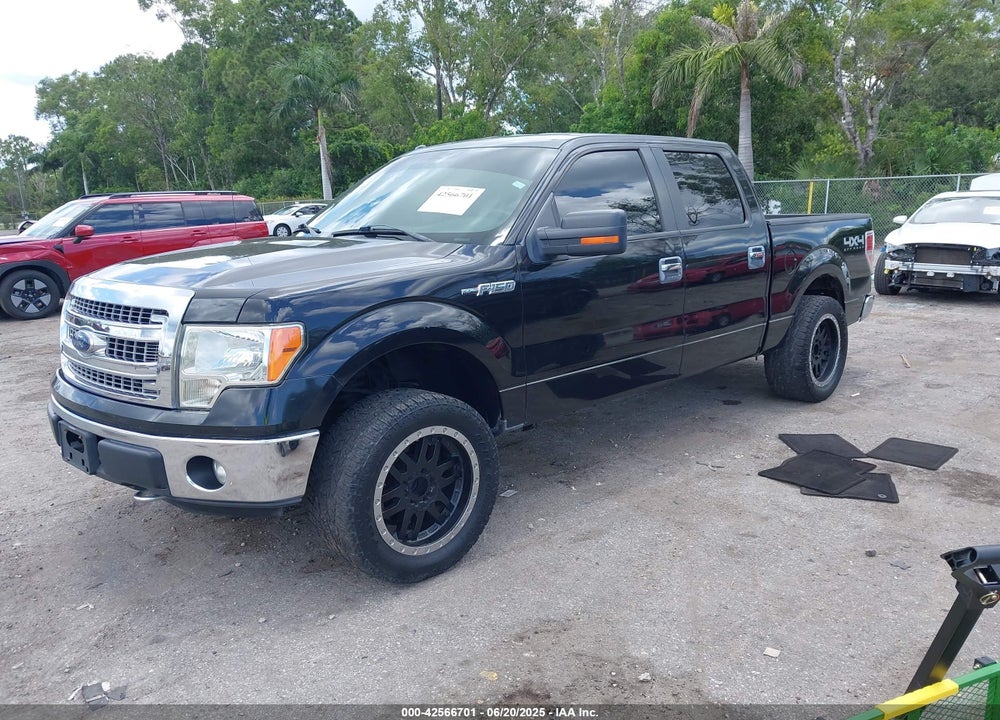 2013 FORD F-150 VIN: 1FTFW1EF2DKD61171