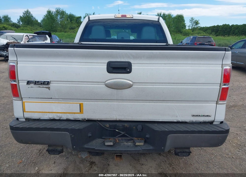 2012 FORD F-150 VIN: 1FTFX1EF4CFA14946