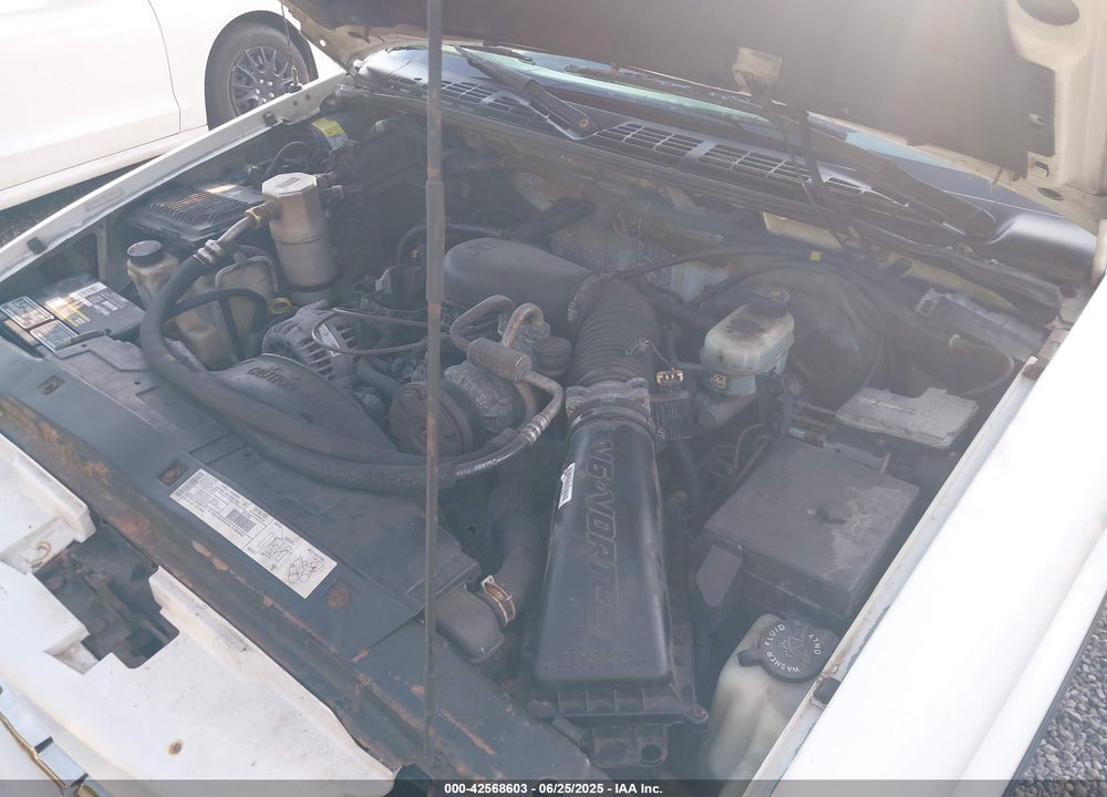 2000 CHEVROLET S-10 LS VIN: 1GCCS19WXY8254915
