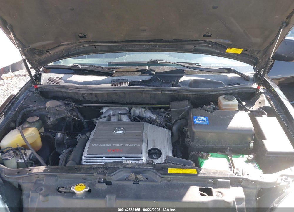 2001 LEXUS RX 300 VIN: JTJHF10U510215110