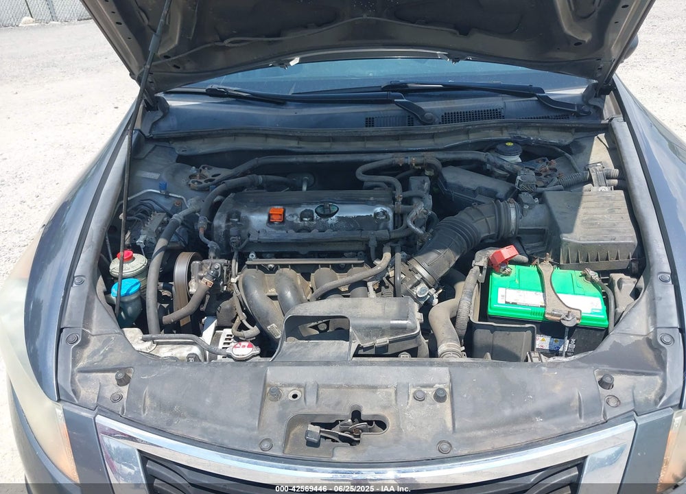 2010 HONDA ACCORD VIN: 1HGCP2F89AA146735