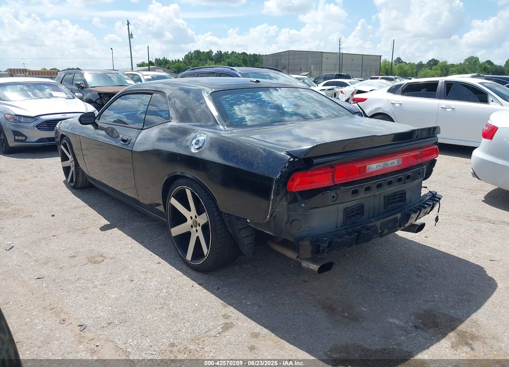 2010 DODGE CHALLENGER VIN: 2B3CJ4DV3AH218942
