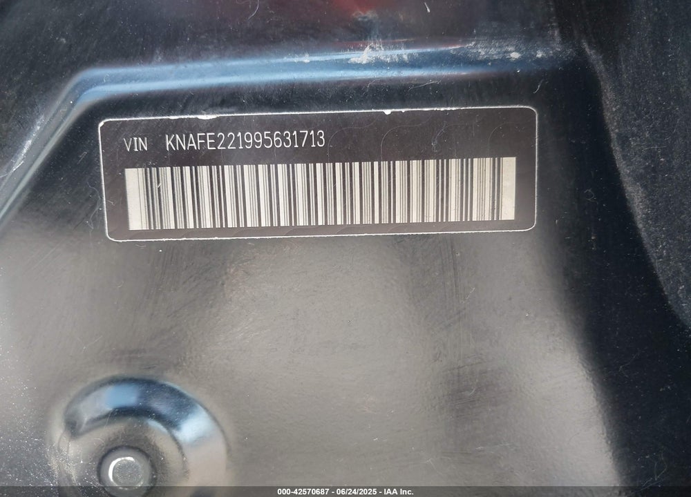 2009 KIA SPECTRA LX VIN: KNAFE221995631713