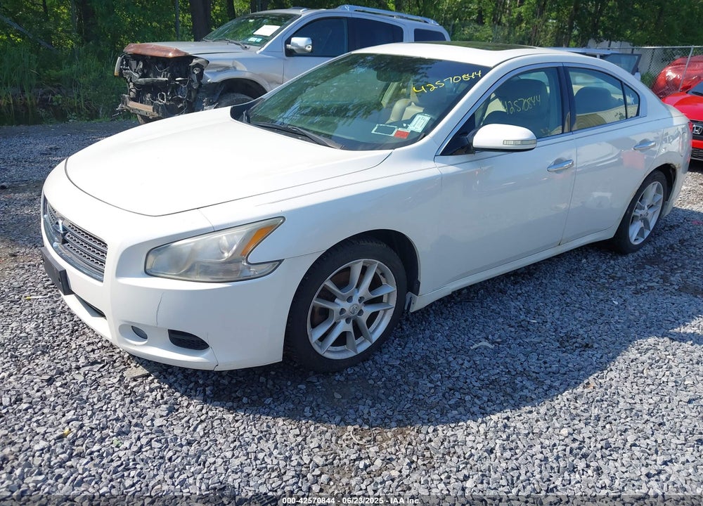 2009 NISSAN MAXIMA VIN: 1N4AA51E39C857097