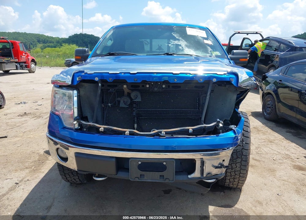 2010 FORD F-150 VIN: 1FTFW1EV1AFB78081