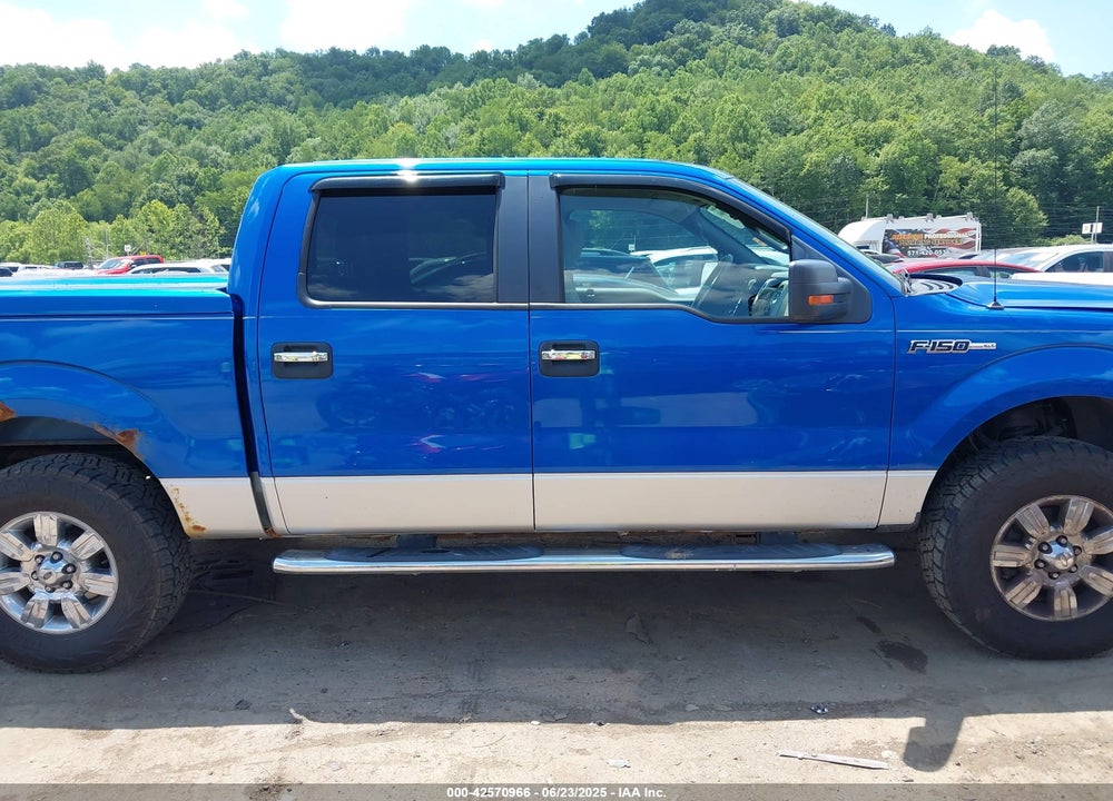2010 FORD F-150 VIN: 1FTFW1EV1AFB78081
