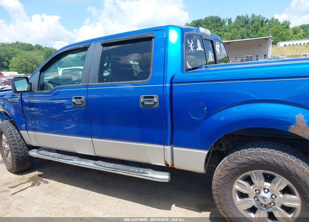 2010 FORD F-150 VIN: 1FTFW1EV1AFB78081