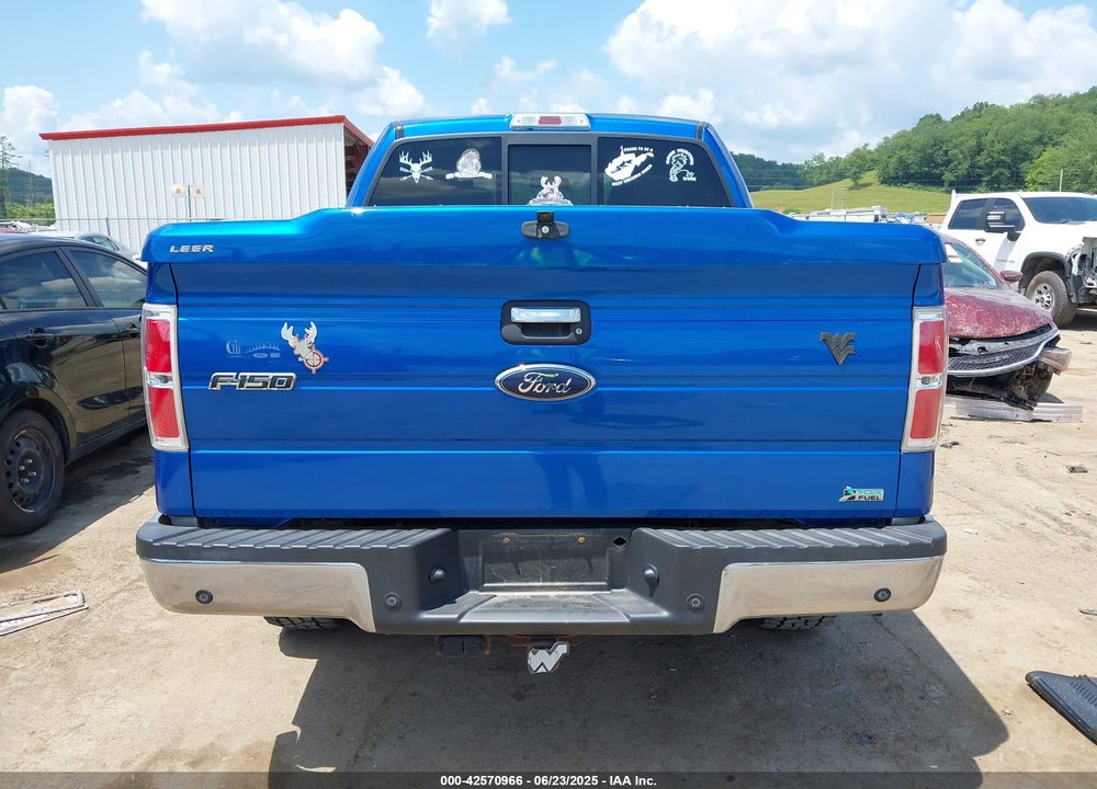 2010 FORD F-150 VIN: 1FTFW1EV1AFB78081