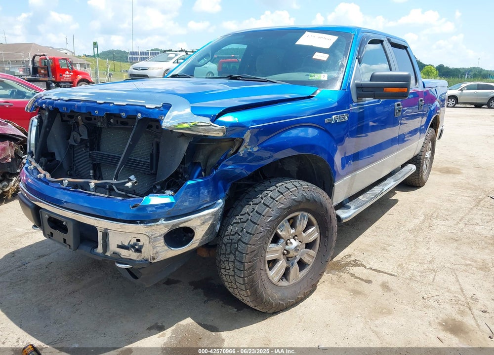 2010 FORD F-150 VIN: 1FTFW1EV1AFB78081