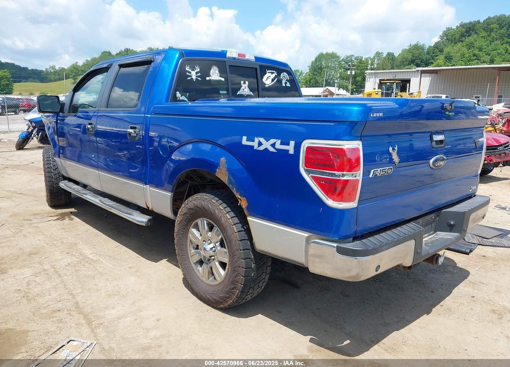 2010 FORD F-150 VIN: 1FTFW1EV1AFB78081