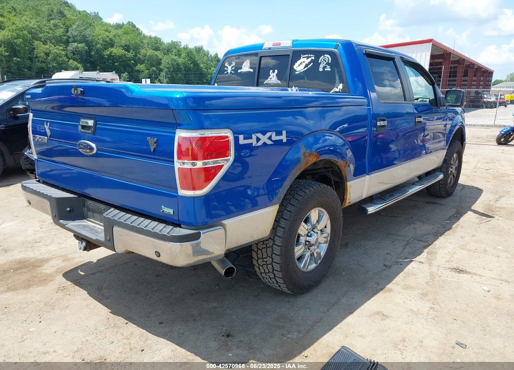 2010 FORD F-150 VIN: 1FTFW1EV1AFB78081