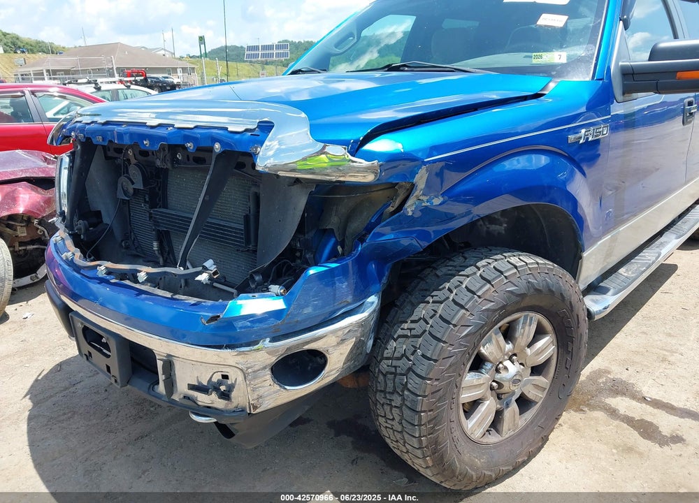 2010 FORD F-150 VIN: 1FTFW1EV1AFB78081