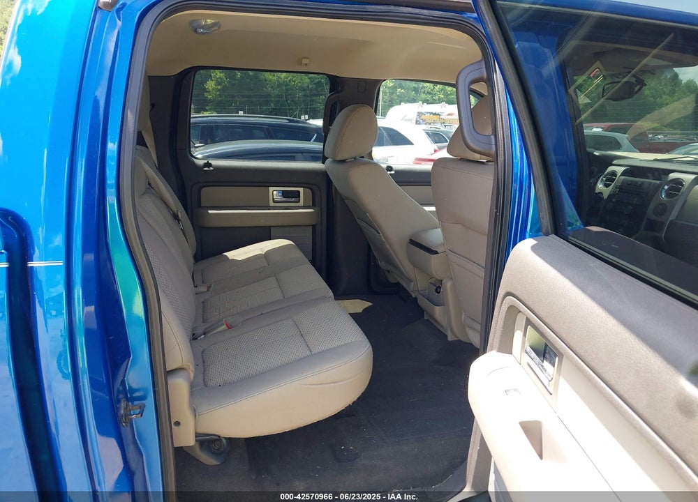 2010 FORD F-150 VIN: 1FTFW1EV1AFB78081