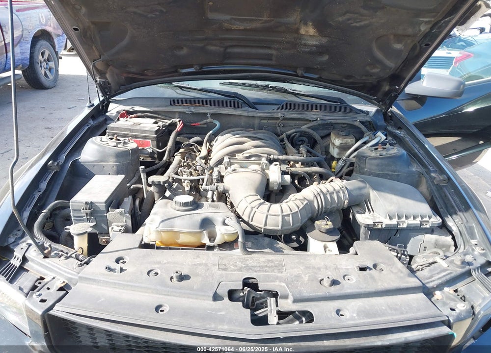 2007 FORD MUSTANG VIN: 1ZVFT82H875229569