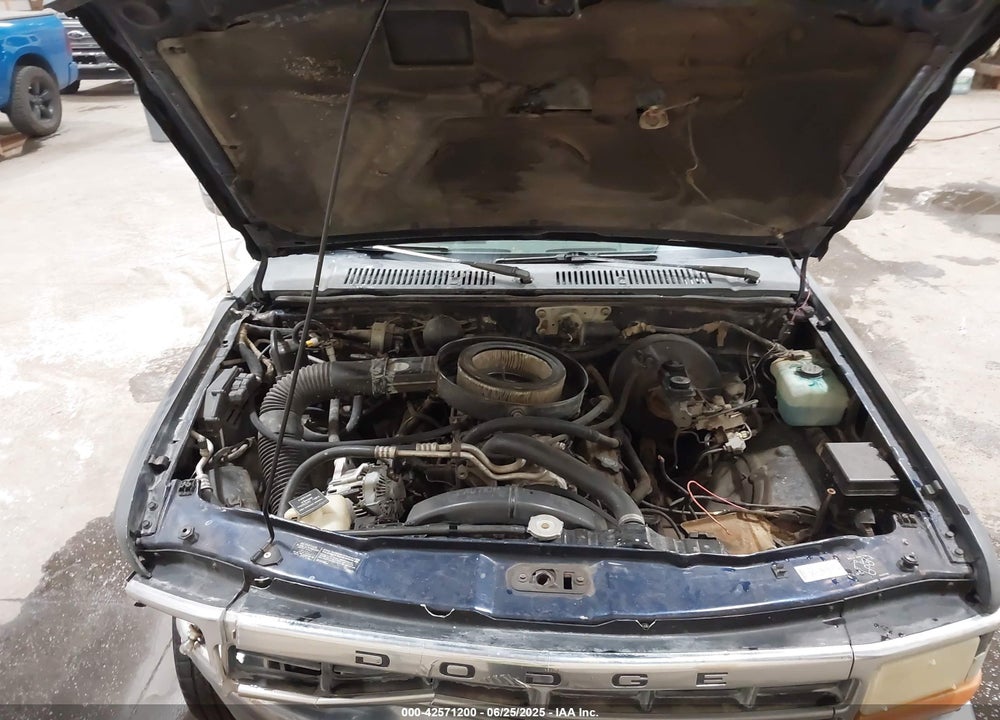 1994 DODGE DAKOTA VIN: 1B7GG23Y7RS709954