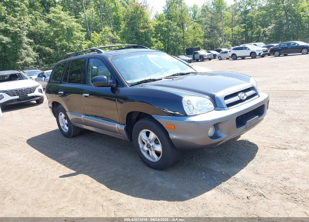 2005 HYUNDAI SANTA FE GLS/LX VIN: KM8SC73E25U938352