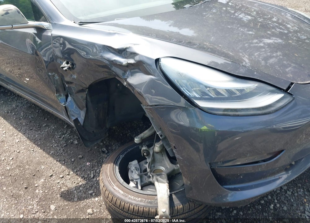 2019 TESLA MODEL 3 VIN: 5YJ3E1EA5KF400131