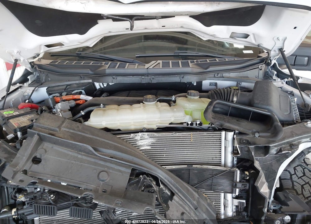 2023 FORD F-150 VIN: 1FTFW1ED1PFB06667