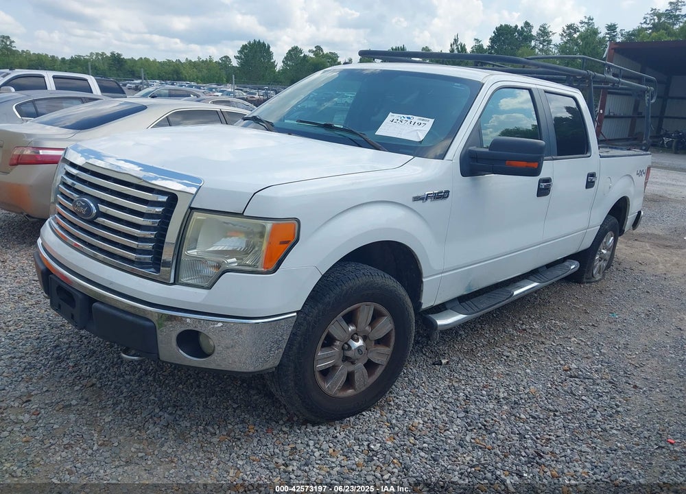 2010 FORD F-150 VIN: 1FTEW1E80AKA75716